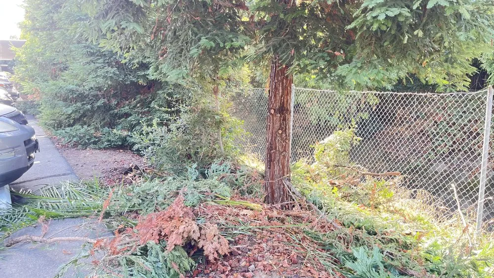 Reliable residential landscaping in Auburn, CA by Dcs Landscaping