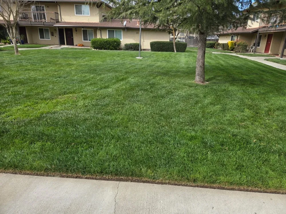 Local residential landscaping with custom design across Auburn, CA - Dcs Landscaping