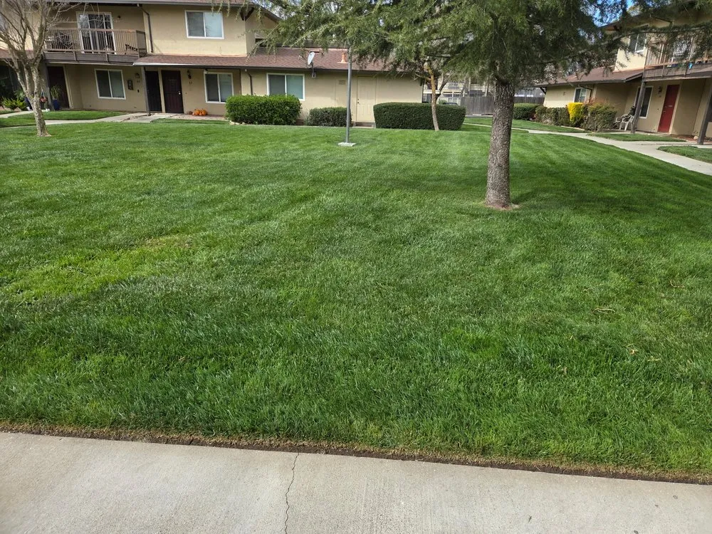 Affordable yard maintenance with custom design in Auburn, CA by Dcs Landscaping