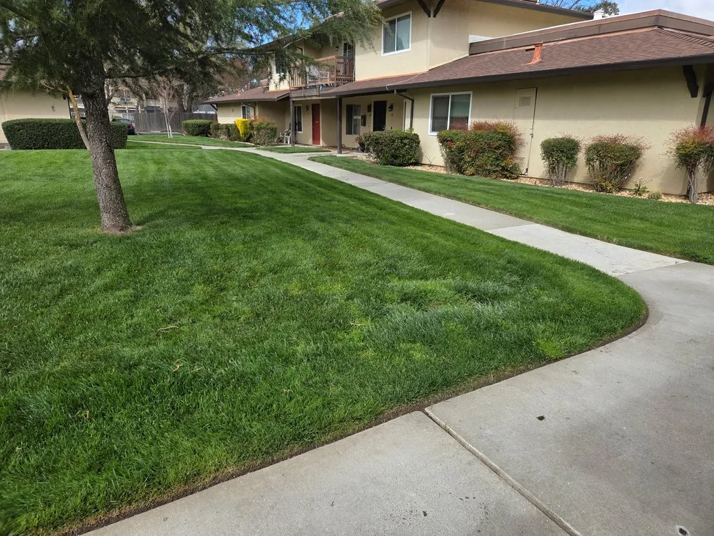 Top-rated yard cleanup service in Auburn, CA - Dcs Landscaping