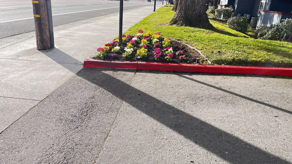 Expert yard maintenance for outdoor upgrades in Auburn, CA by Dcs Landscaping