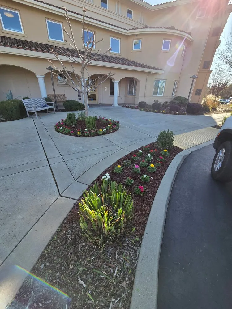 Affordable yard maintenance near you across Auburn, CA - Dcs Landscaping