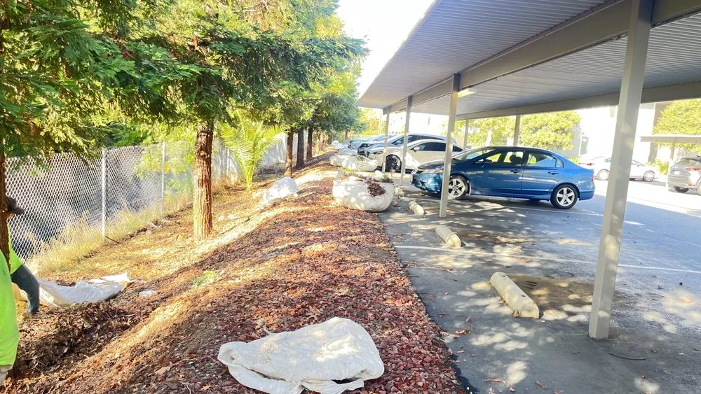 Professional residential landscaping in Auburn, CA by Dcs Landscaping