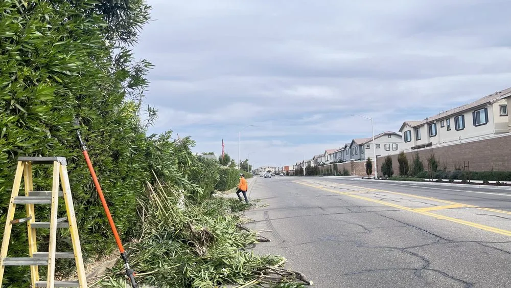 Professional garden landscaping in Auburn, CA - Dcs Landscaping