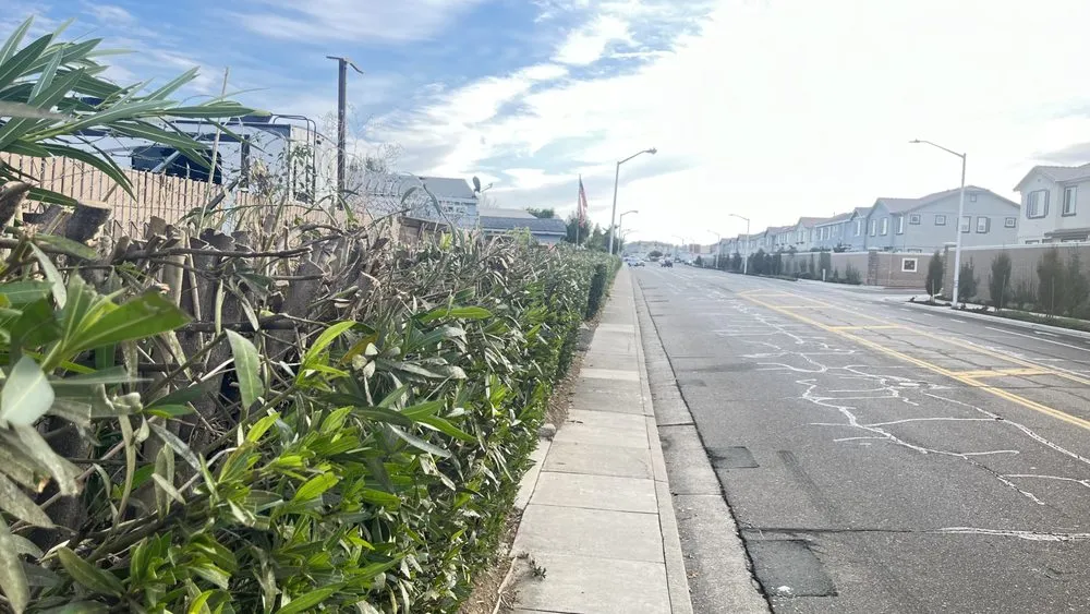 Trusted landscape design in Auburn, CA - Dcs Landscaping