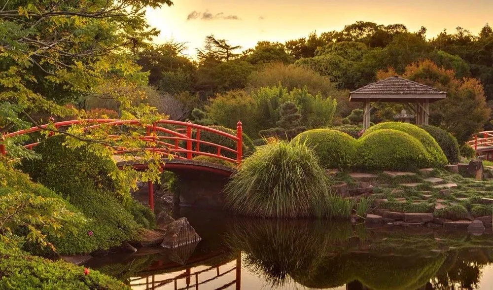 Local yard maintenance for year-round maintenance across Houston, TX - DC's Landscaping