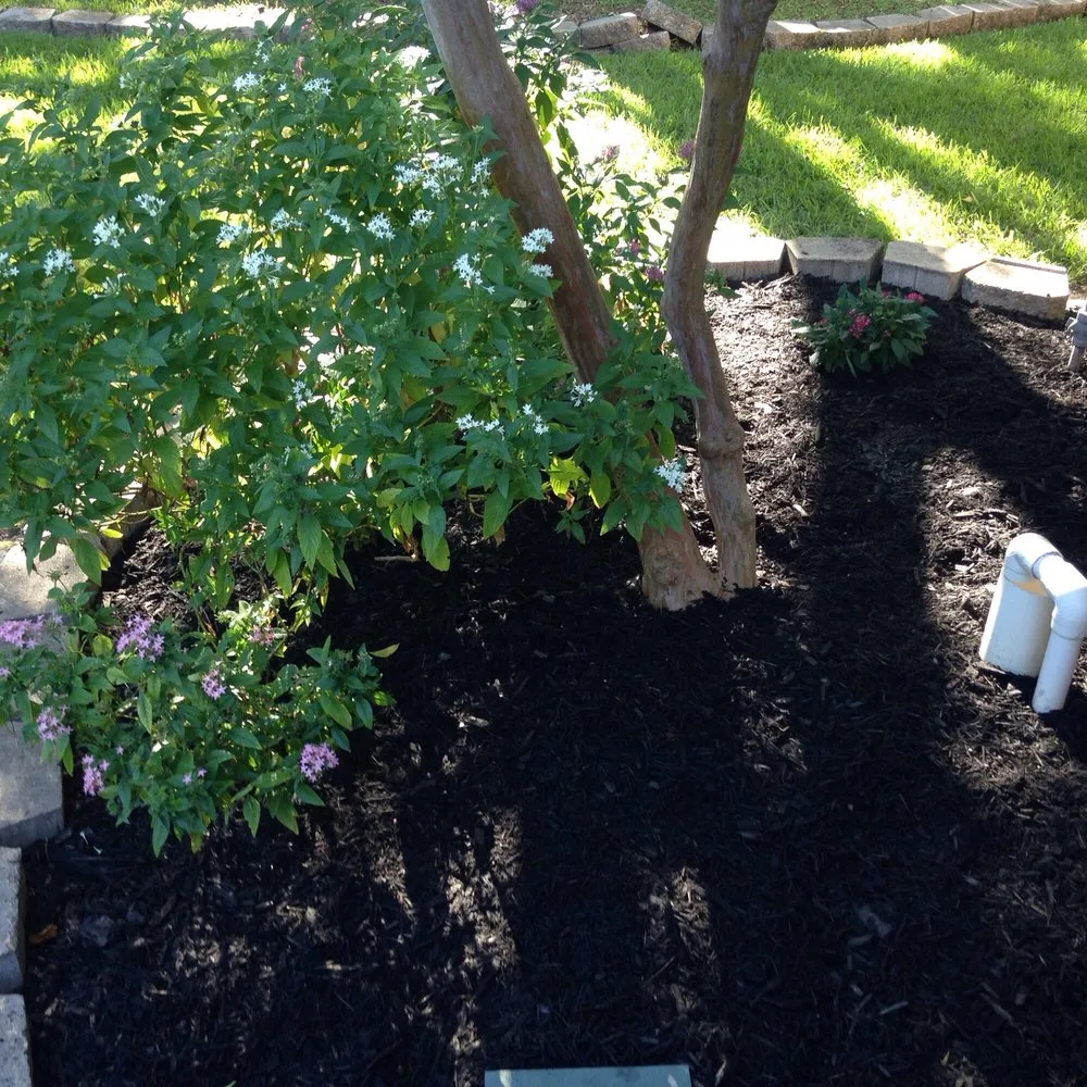 Expert landscaping services experts serving Houston, TX - DC's Landscaping