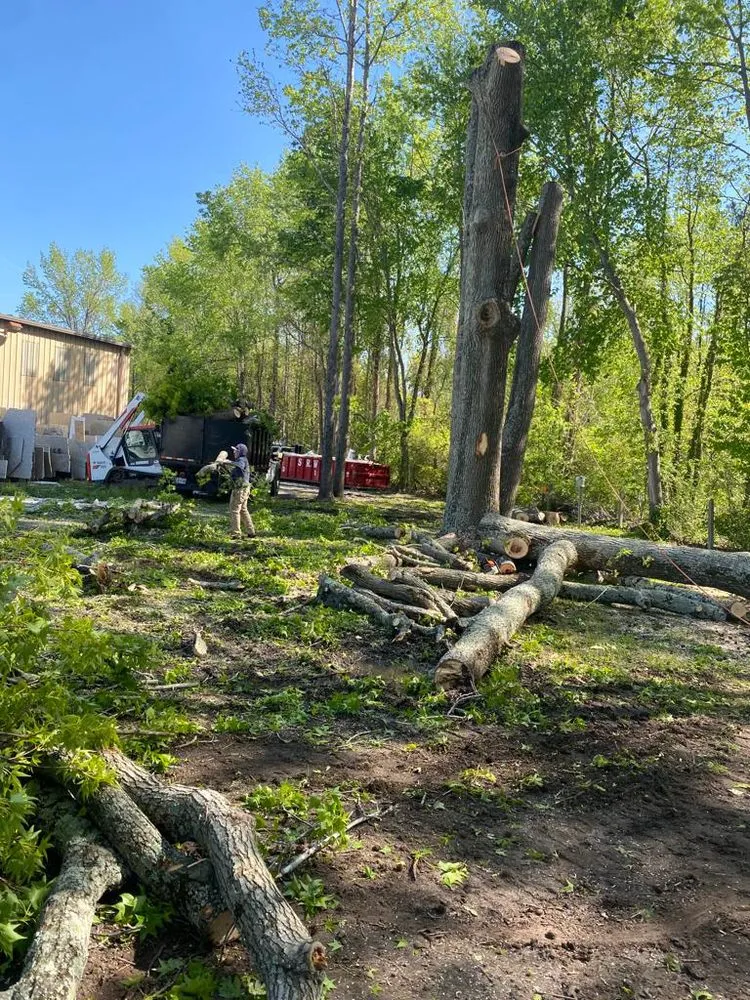 Custom landscape installation for homes across Richmond, VA - DCS Landscaping