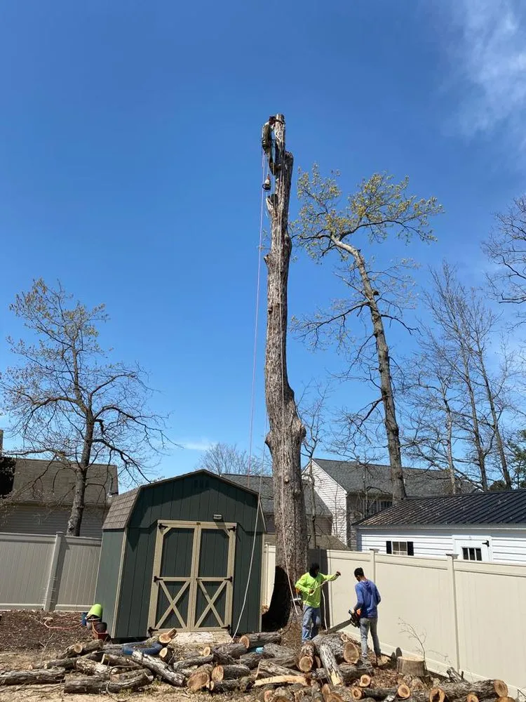 Local yard maintenance for residential properties in Richmond, VA by DCS Landscaping