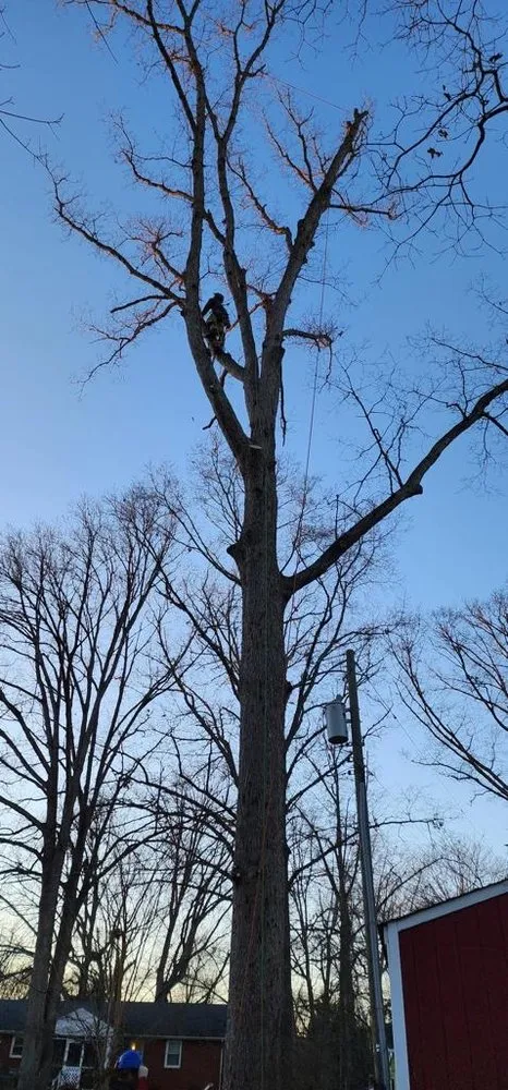 Local landscape installation for homes in Richmond, VA by DCS Landscaping