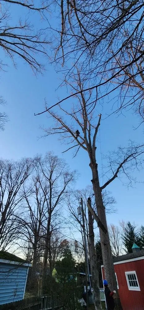 Top-rated landscape design with custom design across Richmond, VA - DCS Landscaping