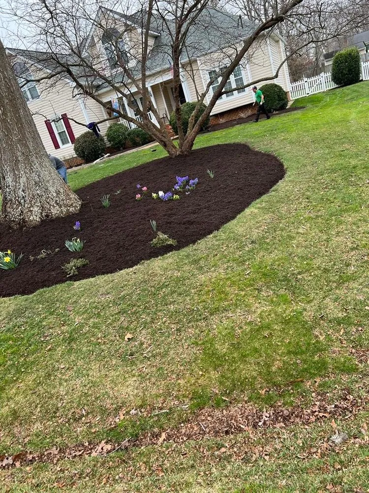 Local outdoor landscaping near you in Richmond, VA by DCS Landscaping