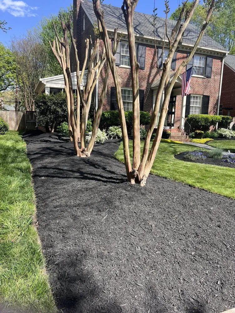 Top-rated yard maintenance for homes in Richmond, VA by DCS Landscaping