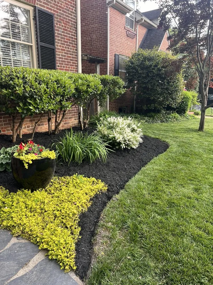 Affordable garden landscaping for year-round maintenance in Richmond, VA by DCS Landscaping