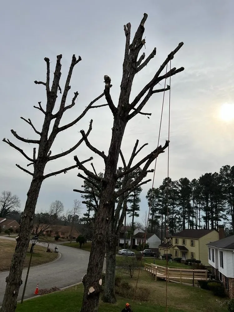 Professional residential landscaping in Richmond, VA by DCS Landscaping