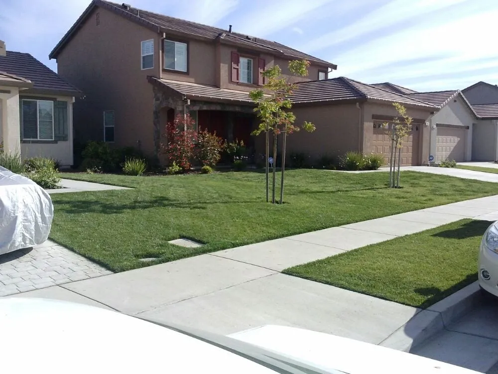 Expert yard cleanup service for residential properties across Manteca, CA - DC's Lawn Care