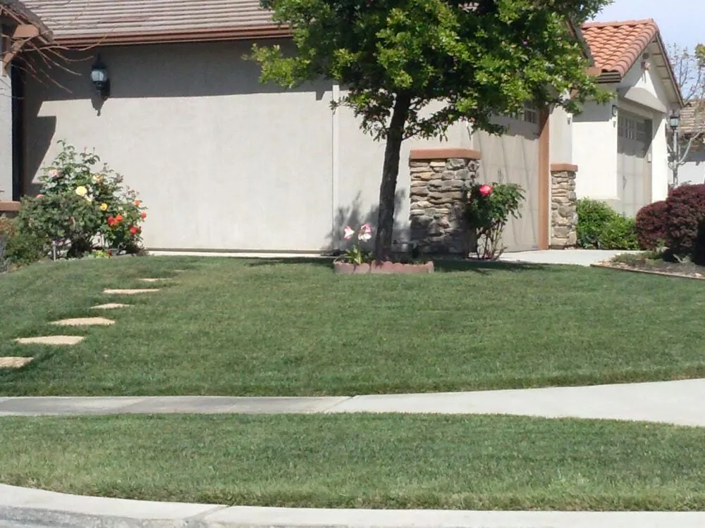 Expert lawn care service experts serving Manteca, CA - DC's Lawn Care