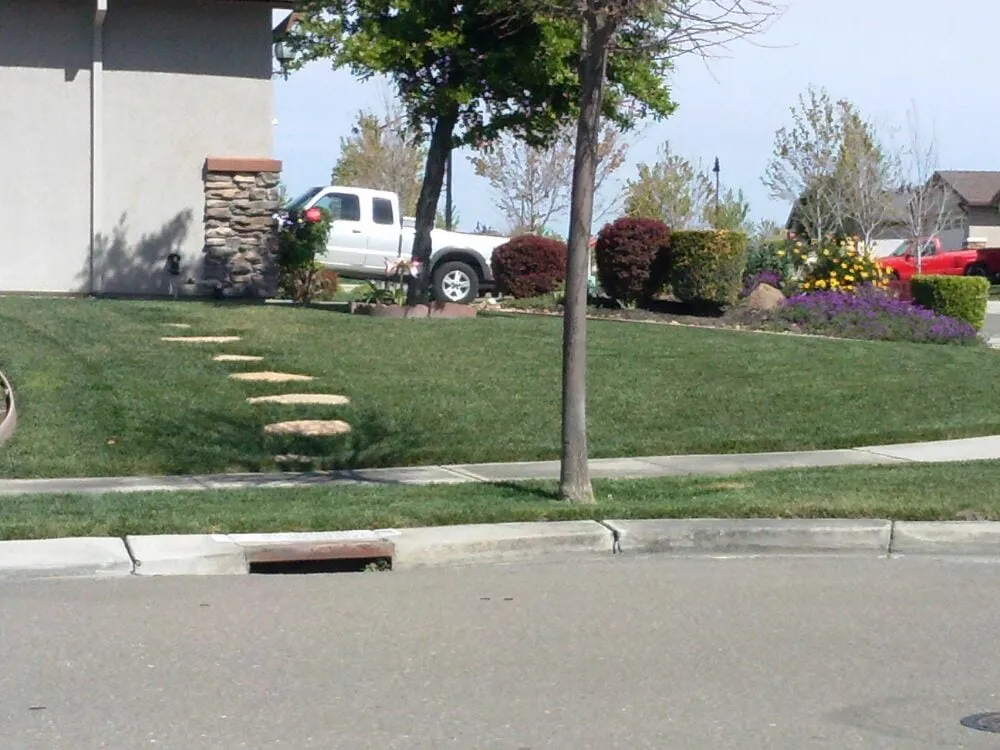 Reliable garden landscaping experts serving Manteca, CA - DC's Lawn Care