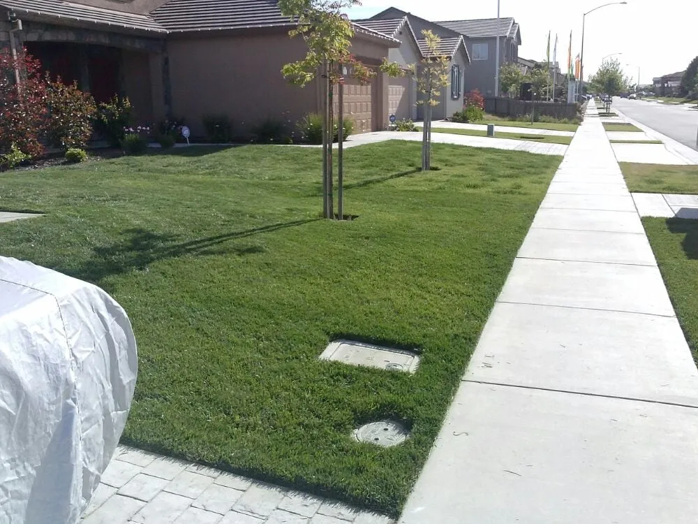 Local residential landscaping for outdoor upgrades in Manteca, CA by DC's Lawn Care