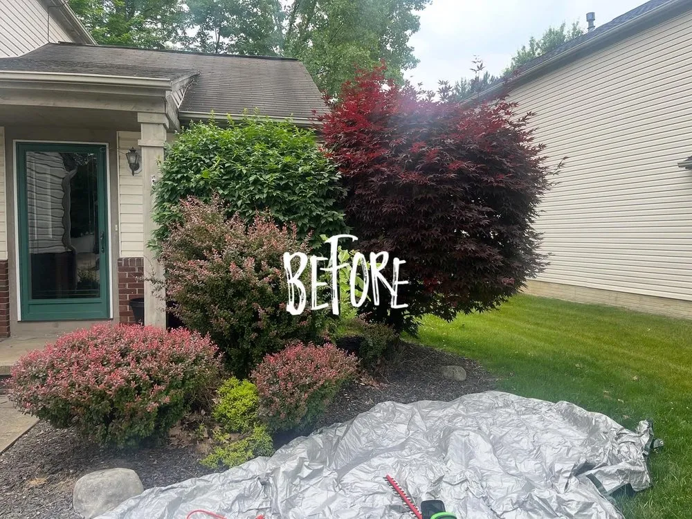 Trusted yard maintenance in Cleveland, OH by DCT Lawn Care