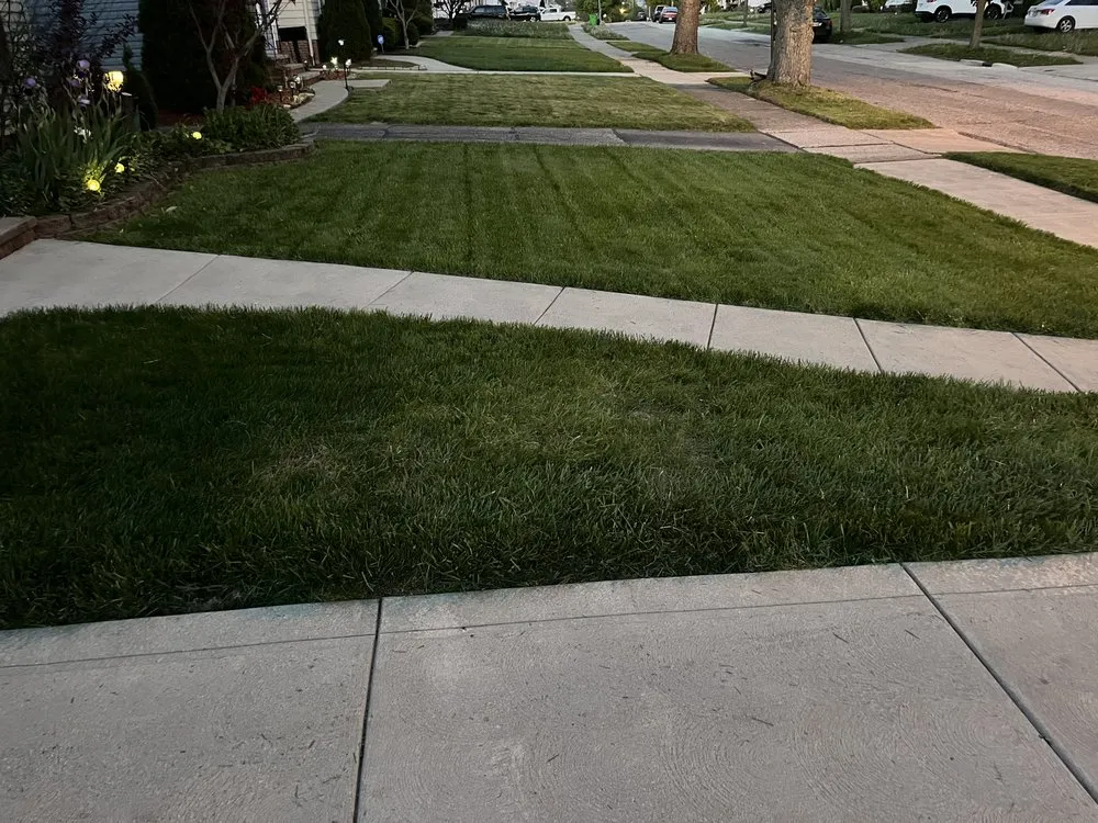 Reliable lawn care service in Cleveland, OH - DCT Lawn Care