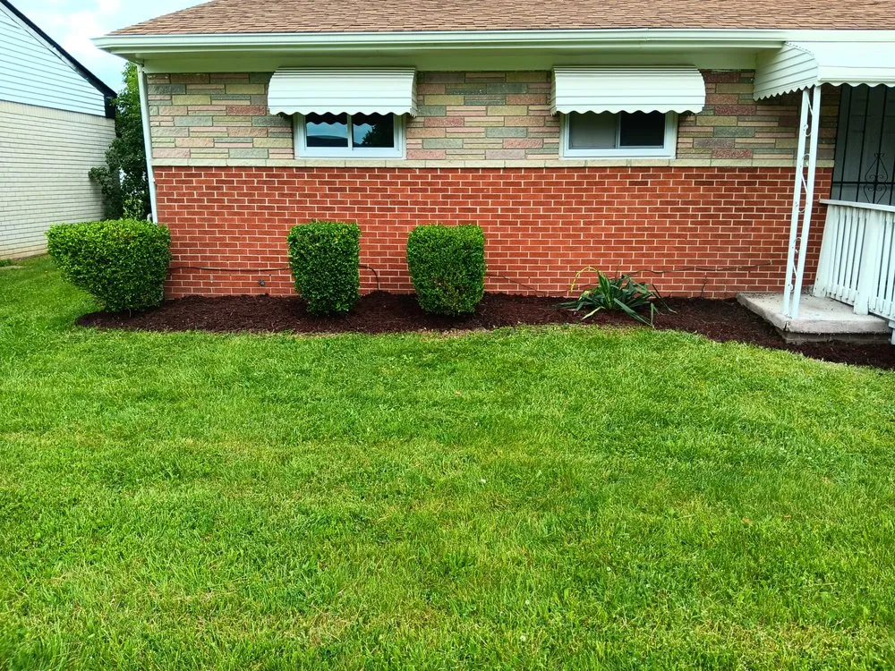 Local landscape design in Westland, MI by D&D Bros