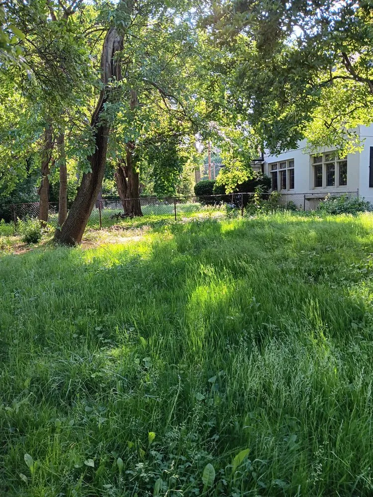 Reliable landscaping services in Westland, MI by D&D Bros