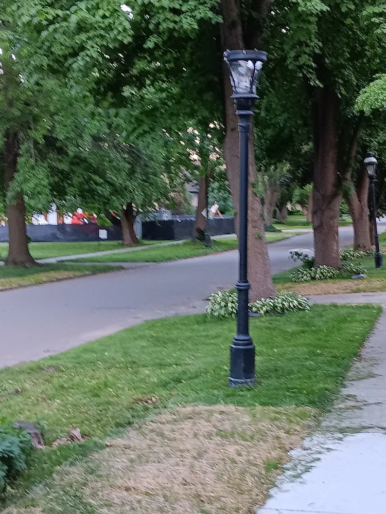 Professional outdoor landscaping in Westland, MI - D&D Bros