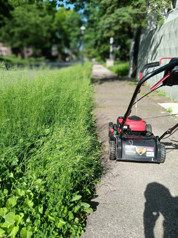 Professional garden landscaping in Westland, MI - D&D Bros