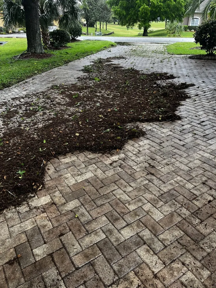 Affordable lawn care service experts serving Beverly Hills, FL - D&D Cleaning And Landscaping