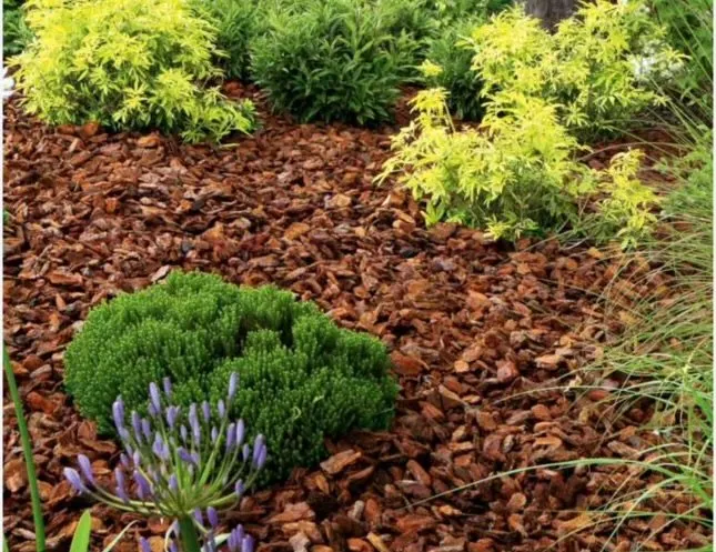 Top-rated landscape design in Beverly Hills, FL by D&D Cleaning And Landscaping