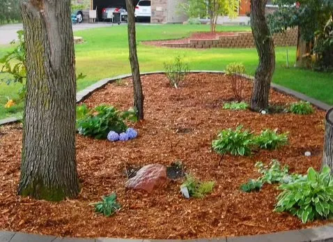 Local landscaping services for beautiful yards across Beverly Hills, FL - D&D Cleaning And Landscaping