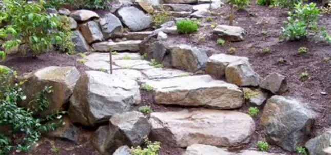 Affordable residential landscaping in Beverly Hills, FL - D&D Cleaning And Landscaping