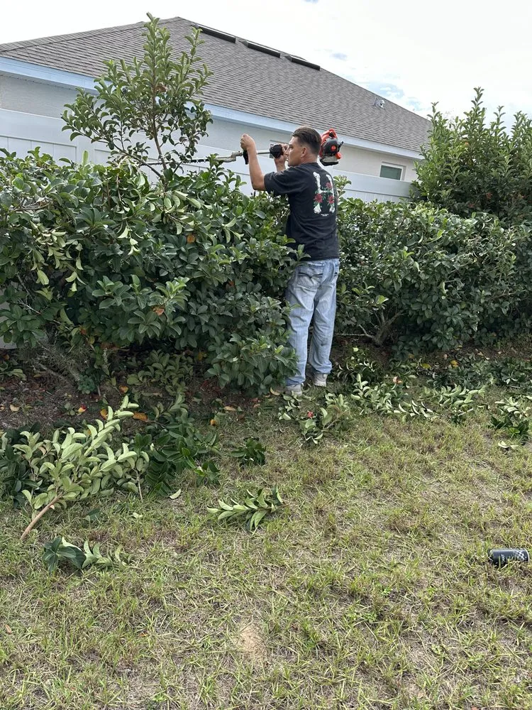 Trusted lawn care service for year-round maintenance in Beverly Hills, FL by D&D Cleaning And Landscaping