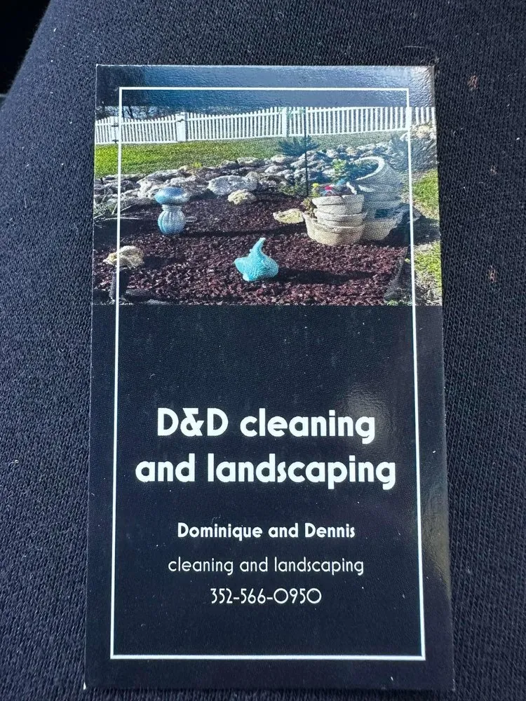 Expert lawn care service near you in Beverly Hills, FL by D&D Cleaning And Landscaping