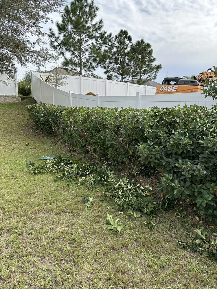 Expert landscape installation in Beverly Hills, FL by D&D Cleaning And Landscaping