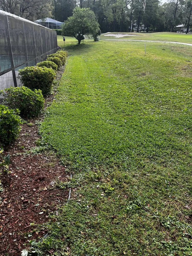 Custom lawn care service in Beverly Hills, FL - D&D Cleaning And Landscaping