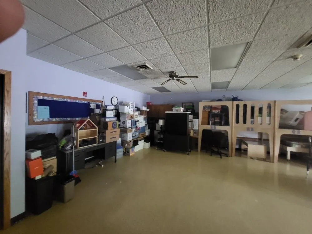 Affordable residential landscaping experts serving Fort Dodge, IA - D&D Custom Cleaning and Mow