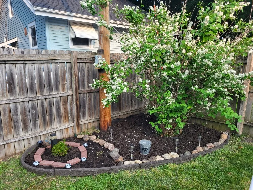 Professional outdoor landscaping in Fort Dodge, IA by D&D Custom Cleaning and Mow