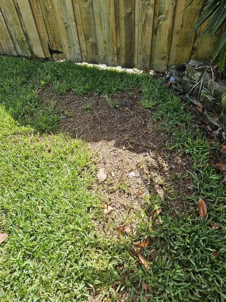 Local garden landscaping near you across Winter Haven, FL - D&D Diamonds Renovation