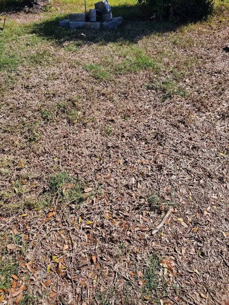 Trusted yard maintenance in Winter Haven, FL - D&D Diamonds Renovation