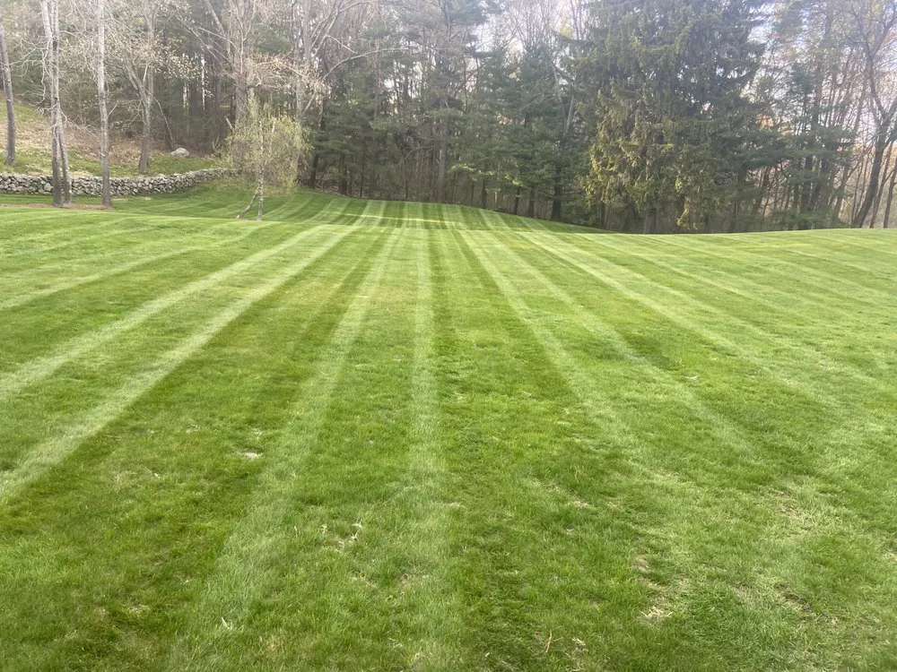 Trusted lawn care service with custom design in Woburn, MA by DD Elite Landscaping