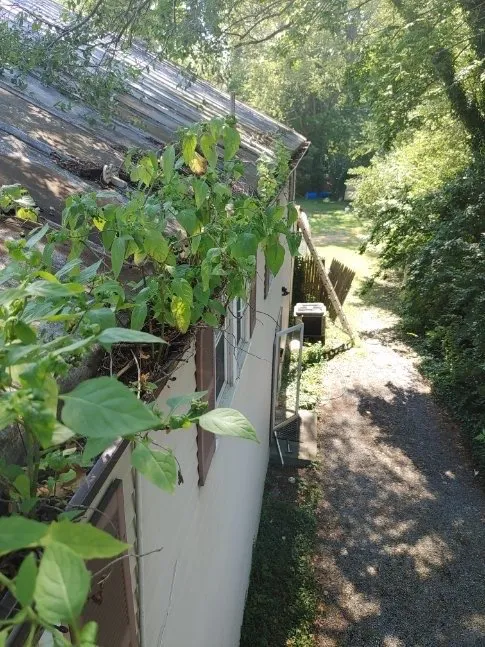 Affordable lawn mowing service in Winchester, VA - D&D Handyman Services