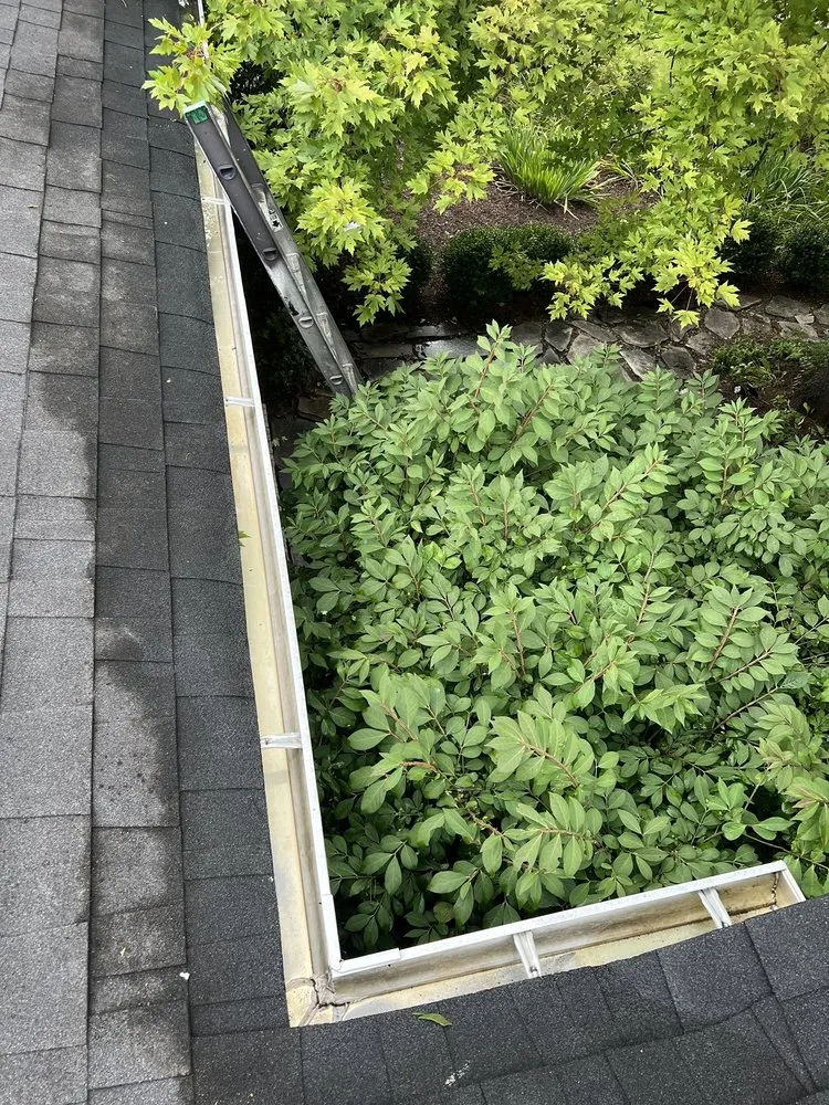 Top-rated landscape installation for residential properties in Winchester, VA by D&D Handyman Services