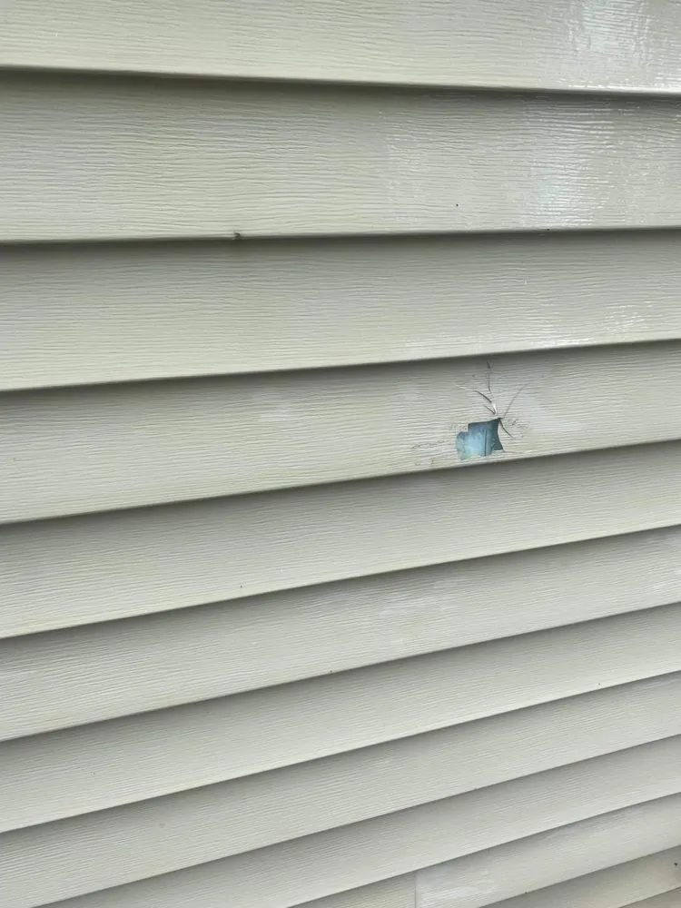 Professional yard cleanup service in Winchester, VA by D&D Handyman Services