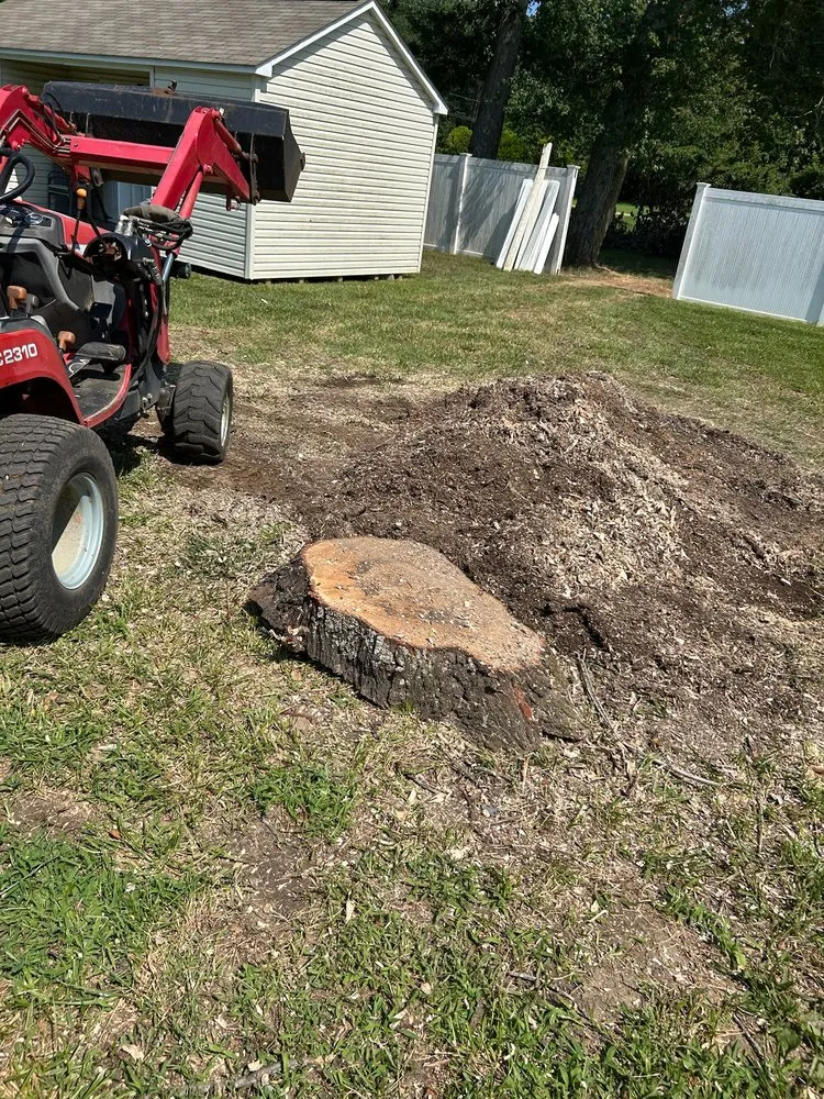 Affordable outdoor landscaping near you in Mechanicsville, MD by D&D Hauling and Maintain