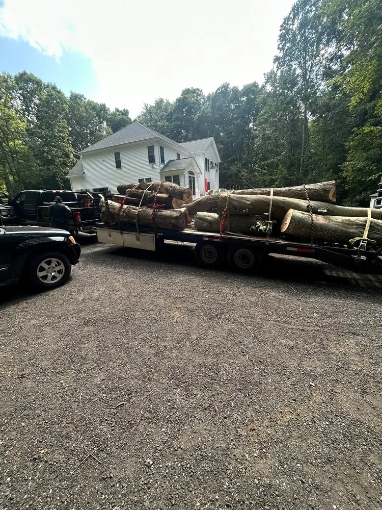 Affordable landscape design for year-round maintenance in Mechanicsville, MD by D&D Hauling and Maintain