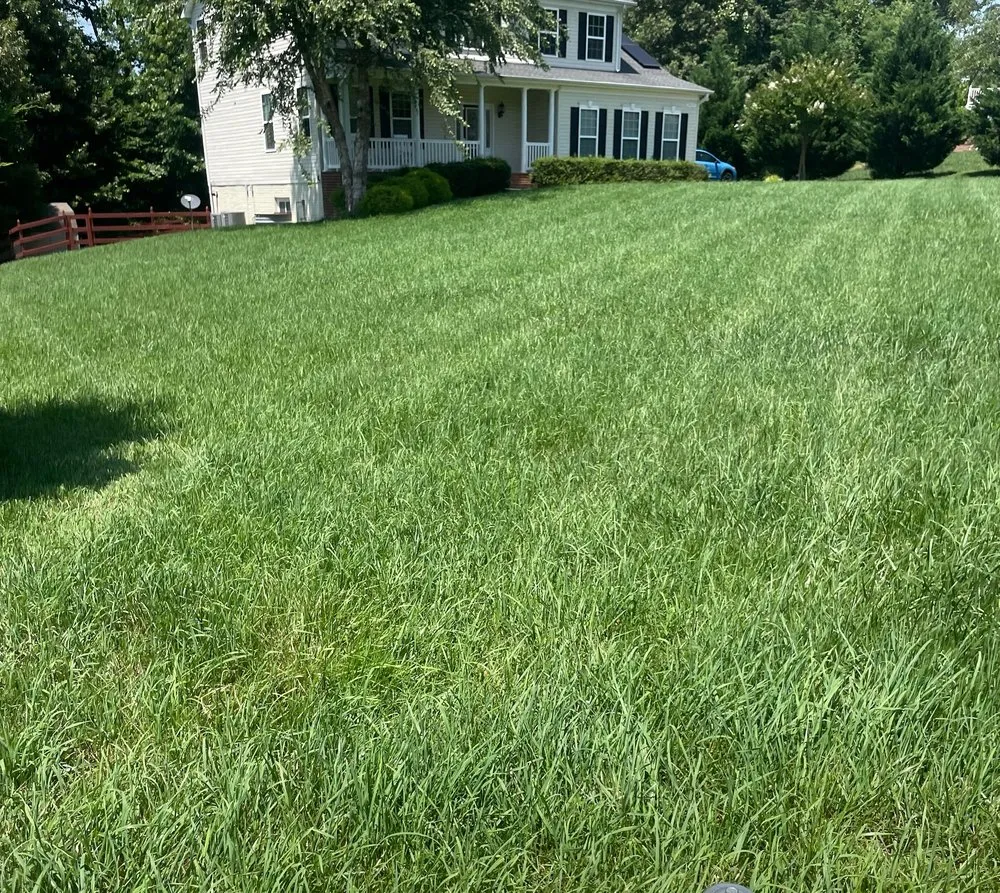 Professional residential landscaping in Mechanicsville, MD - D&D Hauling and Maintain