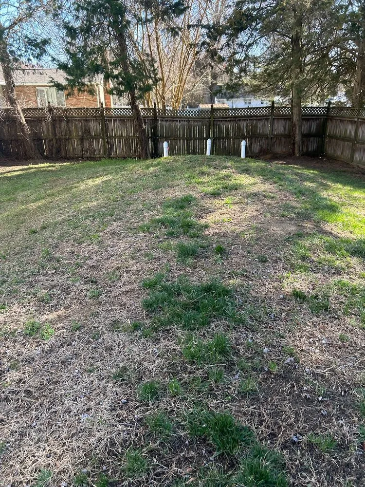 Expert yard cleanup service for year-round maintenance across Mechanicsville, MD - D&D Hauling and Maintain