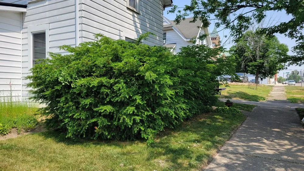 Affordable yard maintenance for homes in Hartford City, IN by D&D Home and Lawn